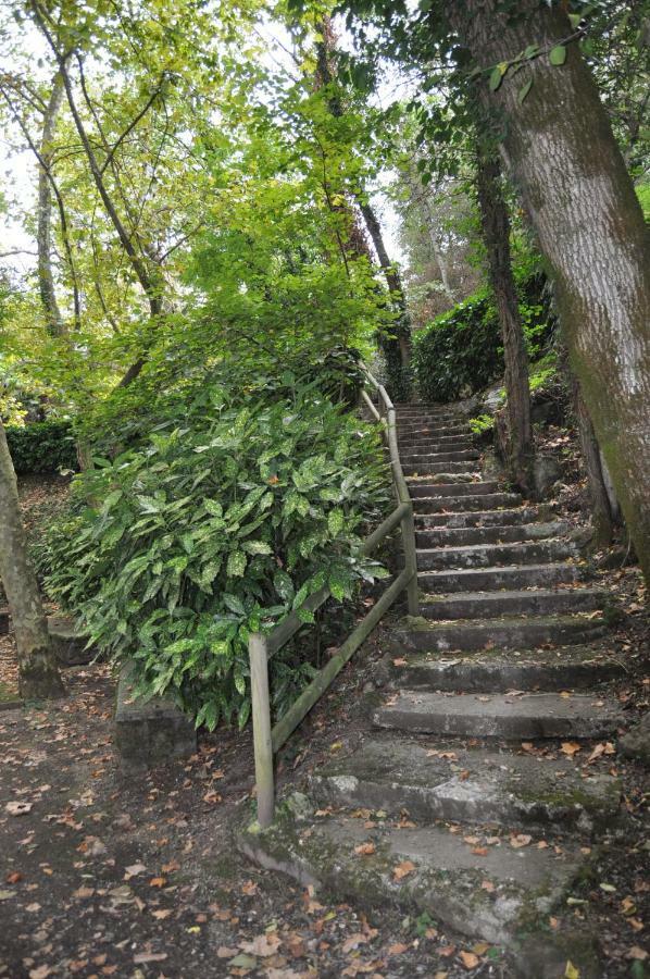Apartamento "El Lila" - Parking Incluido Olot Zewnętrze zdjęcie
